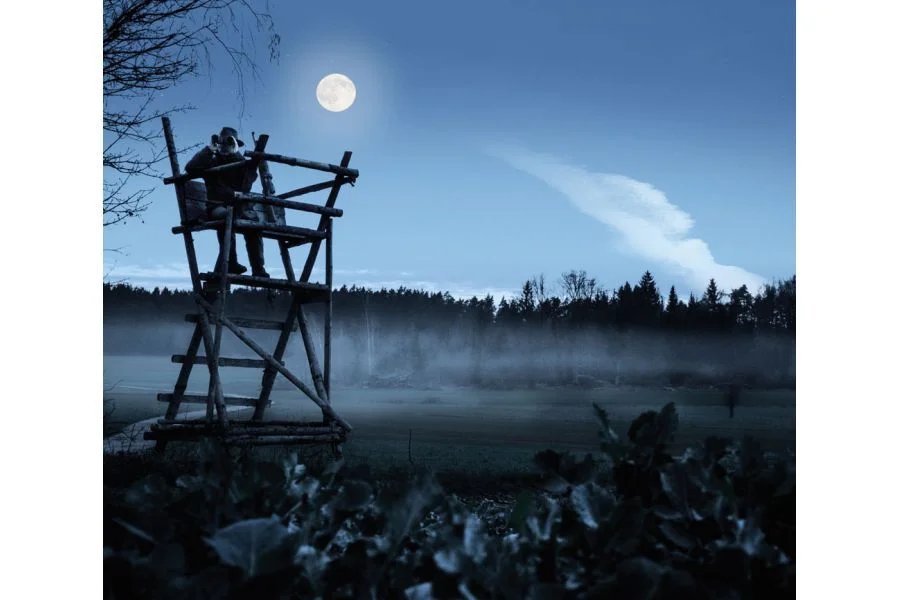 Lornetka Myśliwska Steiner Nighthunter 8x56 (2310) (LORN.STEIN/NIGHTH. 8X56) - widok 3