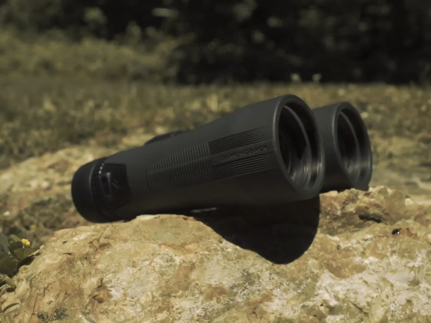Lornetka Vortex Diamondback HD 8x32 (DB-212) VORTEX OPTICS - widok 5