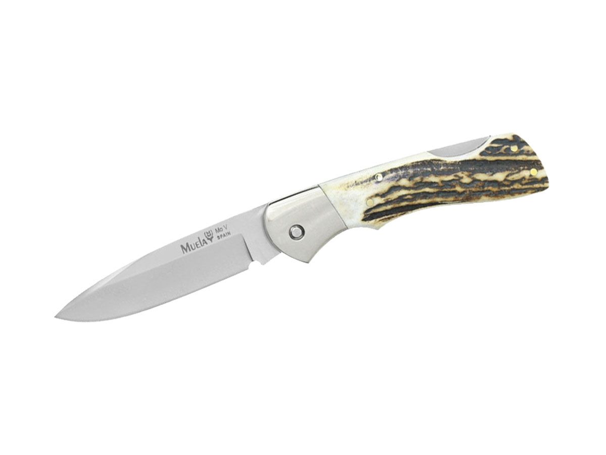 Nóż składany Muela, poroże (jelenie), dł. ostrza 8.5 cm (kod 249432)
