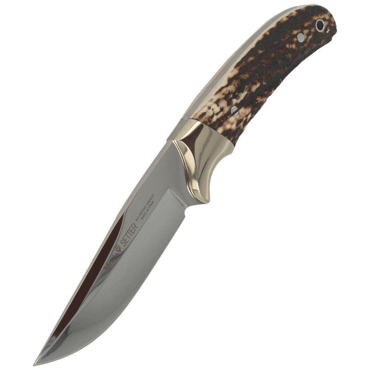 Muela Setter Stag 11A Nóż składany stal MoVa 23 cm
