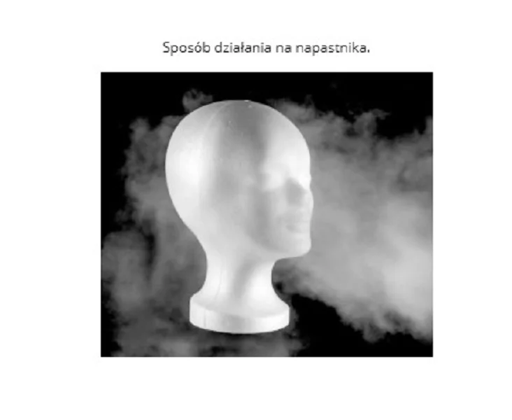 Gaz pieprzowy TW 1000 PEPPER-FOG chmura 40ml (1406.1) 203 - widok 5