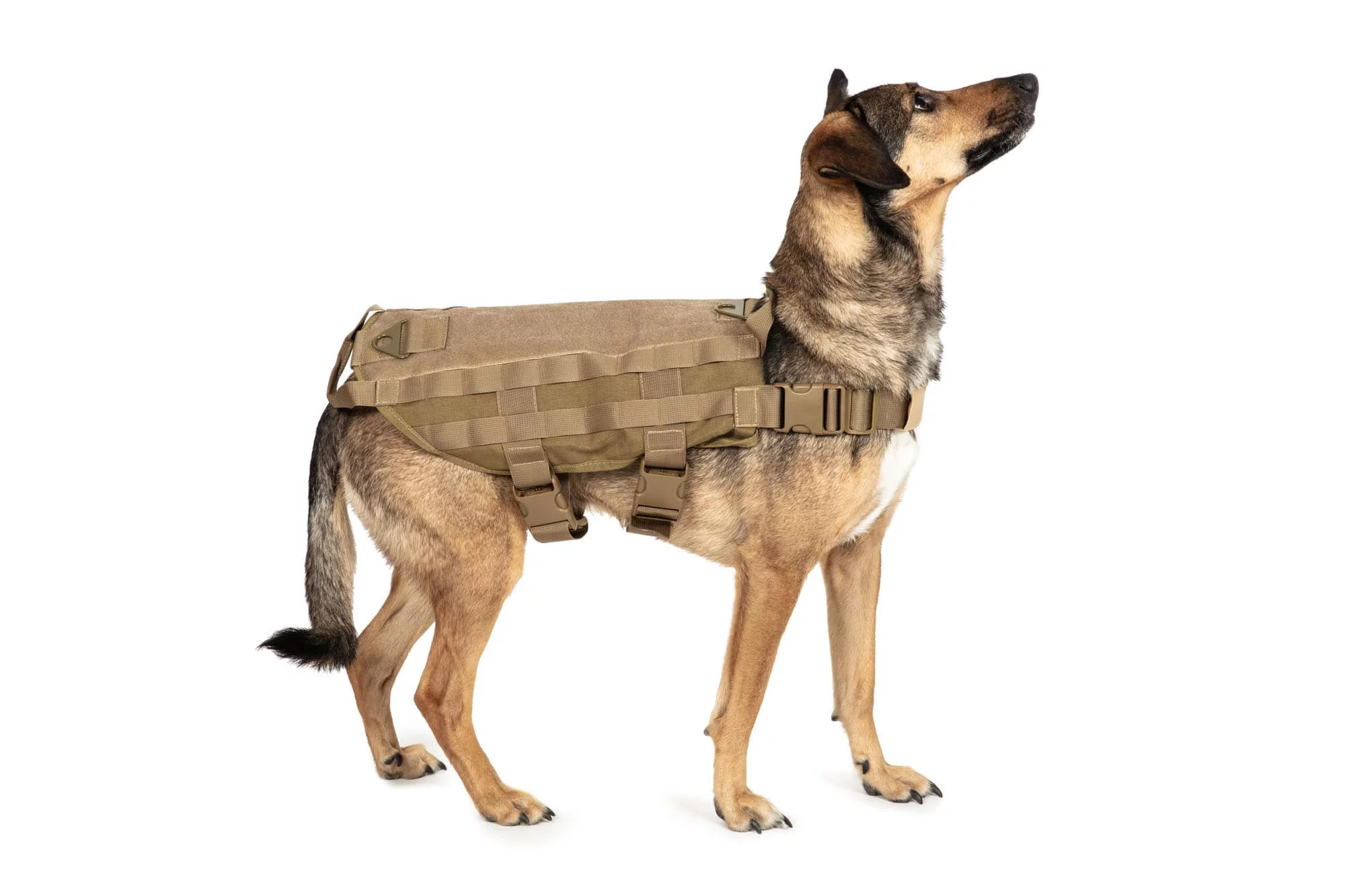 Kamizelka taktyczna dla psa PRIMAL GEAR - tan L (PRI-18-017430) - widok 2