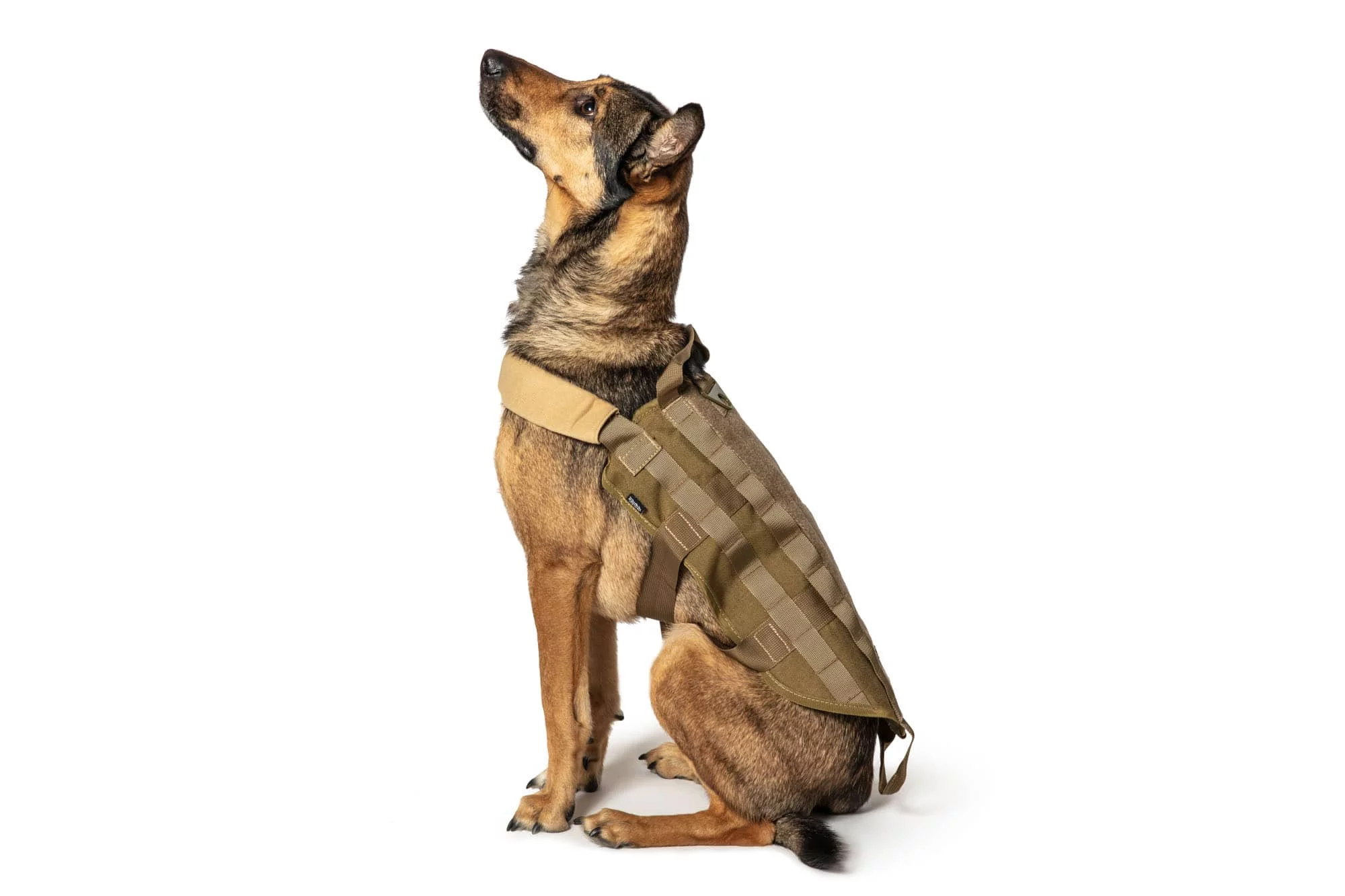 Kamizelka taktyczna dla psa PRIMAL GEAR - tan L (PRI-18-017430) - widok 3