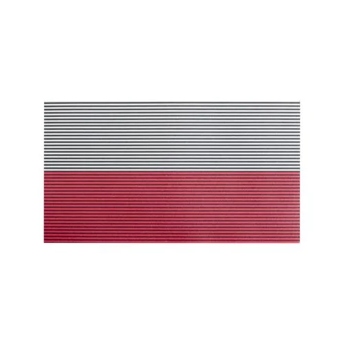 Naszywka Polish large patch flag NO IR - White/Red (PA-PLNI-PES-TCL) DIRECT ACTION