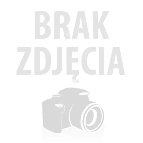 Kamera Insta360 X3 - widok 3