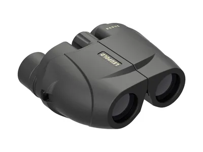 Lornetka Leupold BX-1 Rogue 8x25 (59220) - widok 4