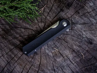 Nóż składany Ganzo Firebird FH11-BK (FH11-BK) - widok 8