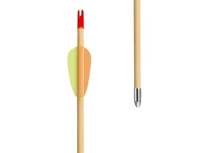 Strzały drewniane 29" Poe Lang Black Point (VD-002A-B3) - zestaw 5 sztuk - widok 3