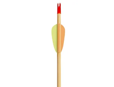 Strzały drewniane 29" Poe Lang Black Point (VD-002A-B3) - zestaw 5 sztuk - widok 4