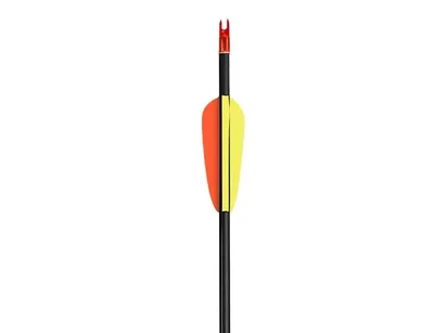 Strzały z włókna szklanego 30" Poe Lang (VD-065-B3) - zestaw 5 sztuk - widok 2
