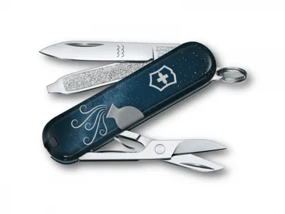 Scyzoryk Victorinox Classic SD Zodiac Aquarius 0.6223.2AQU