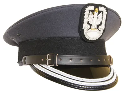 Czapka garnizonowa galowa Sił Powietrznych - oficer starszy