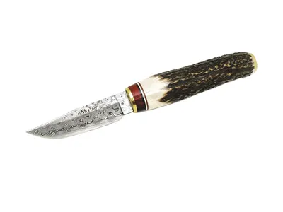 Muela BOWIE STAG DAMASCUS BW-6DAM