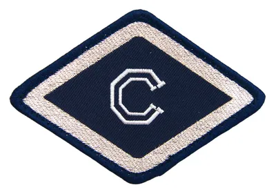 Emblemat Policji (Służba Zwalczania Cyberprzestępczości)