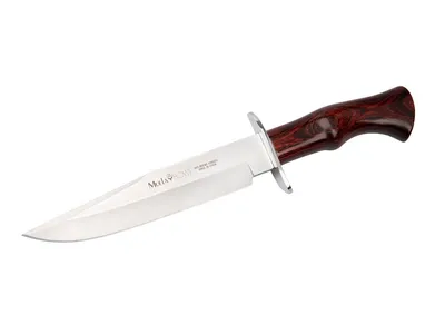 Nóż Myśliwski Muela Bowie BW-18LR Stal MoVa Drewno Pakka 18 cm