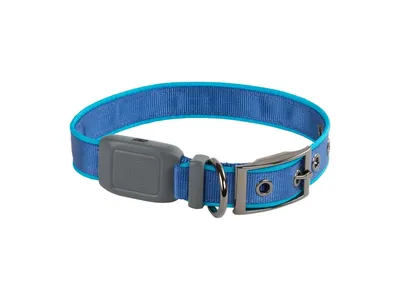 Nite Ize Nitedog Rechargeable LED Collar Medium Blue NDCRM-03-R3 Latarka