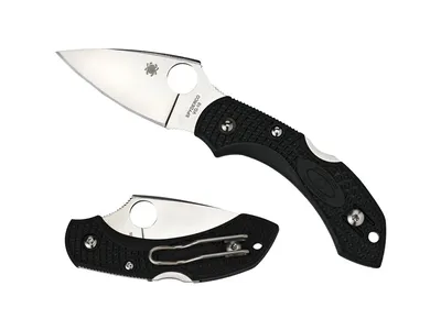 Spyderco Dragonfly 2 FRN Black Plain C28PBK2 Nóż składany 14,1 cm