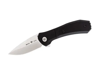 Buck Paradigm Black G-10 590BKS Nóż składany stal S35VN 18,7 cm
