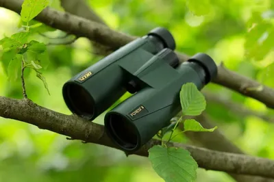 Lornetka Delta Optical Forest II 10x50 (DO.DO-1301) - widok 2