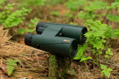Lornetka Delta Optical Forest II 10x50 (DO.DO-1301) - widok 4