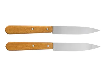 Nóż kuchenny Opinel 102 Paring Knife 2 szt. (102 001222) - widok 2
