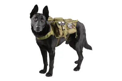 Kamizelka taktyczna dla psa PRIMAL GEAR - oliwkowa L (PRI-18-017429) - widok 7