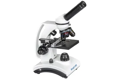 Mikroskop Delta Optical BioLight 300  (DO-3330)