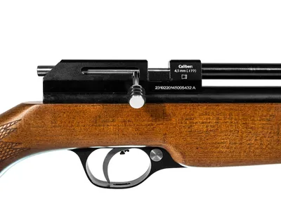 Karabinek wiatrówka Diana PCP Stormrider 4,5 mm Ek < 17J (1900004) - widok 3