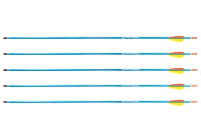 Strzały aluminiowe 30" BLUE Poe Lang - zestaw 5 sztuk