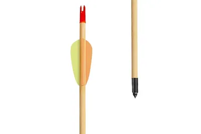 Strzały drewniane Target Wooden 30" Poe Lang - zestaw 5 sztuk - widok 2