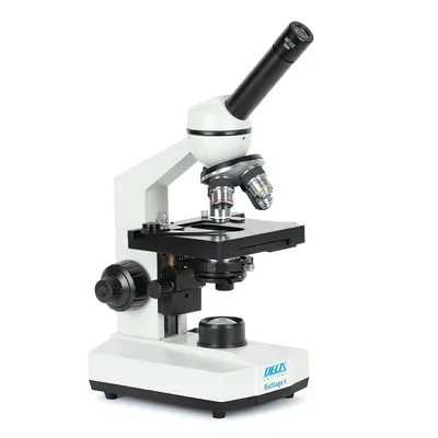 Mikroskop Delta Optical BioStage II (DO-3310) - widok 2