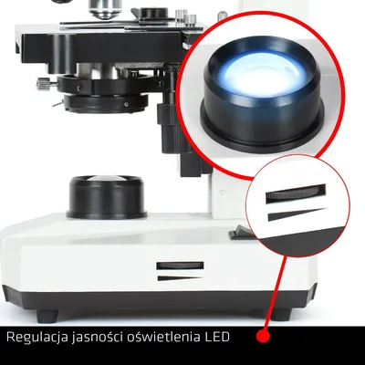 Mikroskop Delta Optical BioStage II (DO-3310) - widok 8